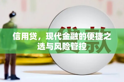 固镇信用贷，现代金融的便捷之选与风险管控