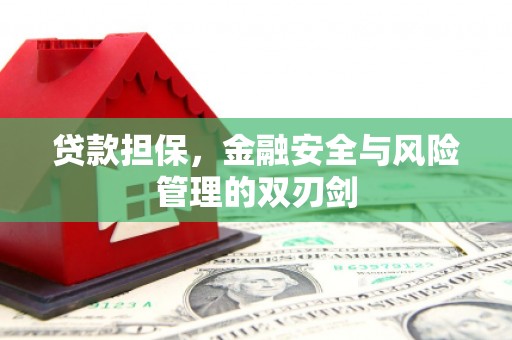 固镇贷款担保，金融安全与风险管理的双刃剑