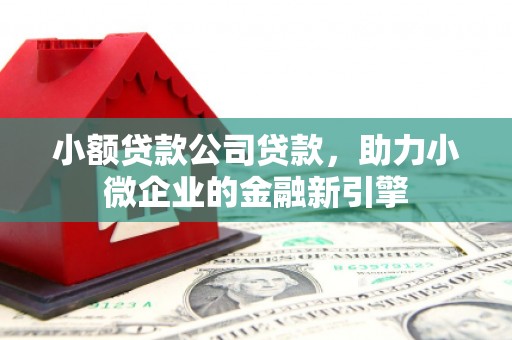 固镇小额贷款公司贷款，助力小微企业的金融新引擎