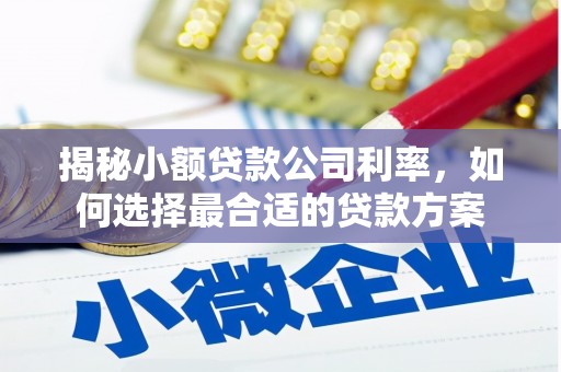 固镇揭秘小额贷款公司利率，如何选择最合适的贷款方案
