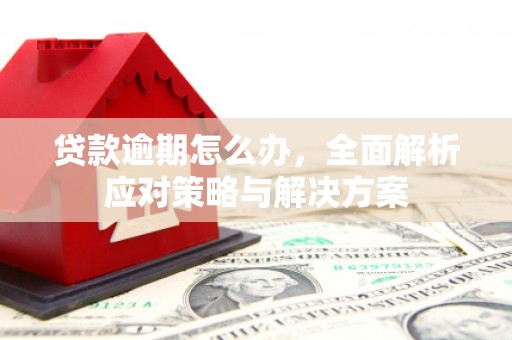 固镇贷款逾期怎么办，全面解析应对策略与解决方案