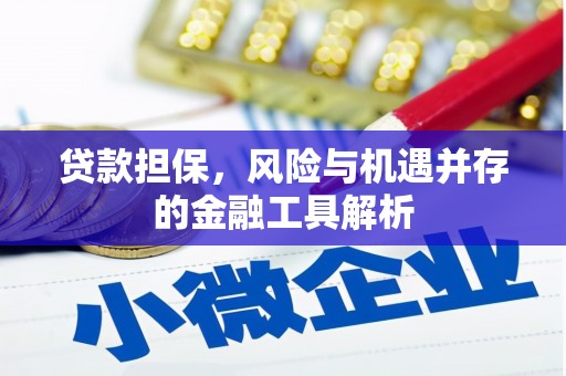 固镇贷款担保，风险与机遇并存的金融工具解析