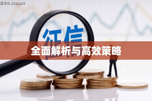 固镇全面解析与高效策略