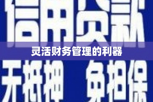 固镇灵活财务管理的利器