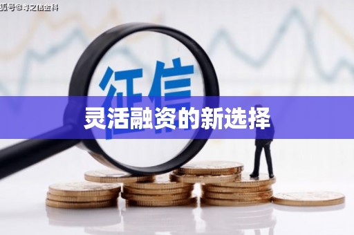 固镇灵活融资的新选择