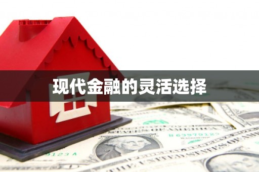 固镇现代金融的灵活选择