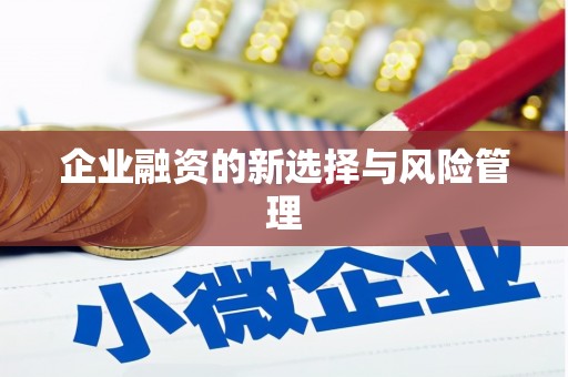 固镇企业融资的新选择与风险管理