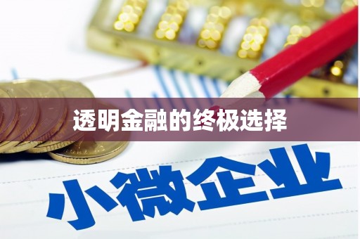 固镇透明金融的终极选择