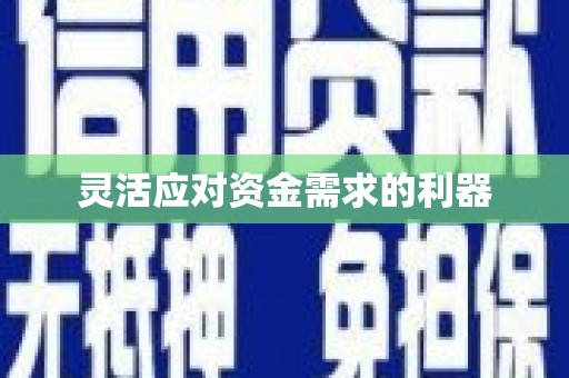 固镇灵活应对资金需求的利器