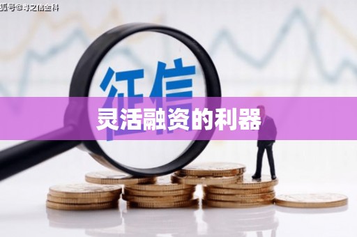 固镇灵活融资的利器
