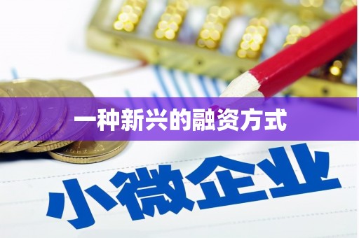 固镇一种新兴的融资方式