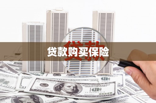 固镇贷款购买保险