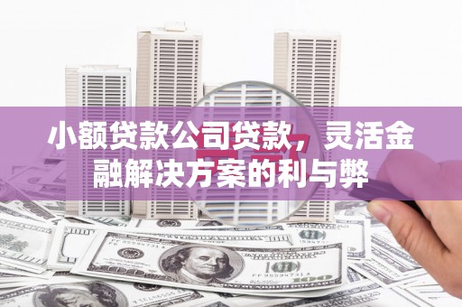 固镇小额贷款公司贷款，灵活金融解决方案的利与弊
